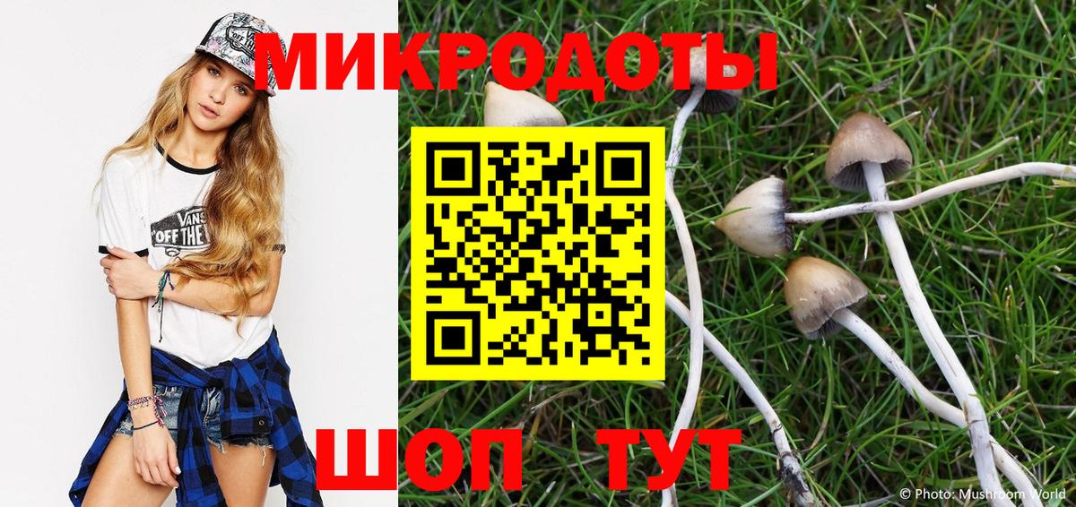 Лангепас  Псилоцибиновые грибы Psilocybine cubensis  Галлюциногенные грибы мухоморы  Вход с VPN 