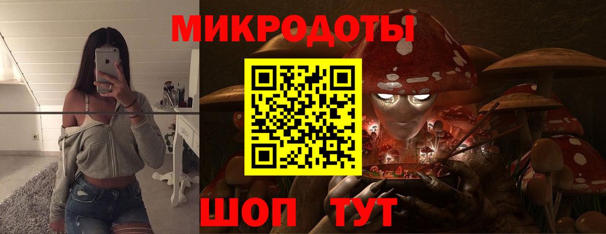 Псилоцибиновые грибы Psilocybe Лангепас